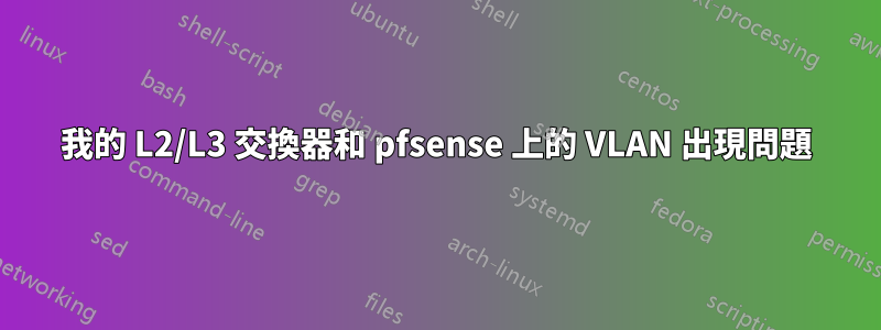 我的 L2/L3 交換器和 pfsense 上的 VLAN 出現問題