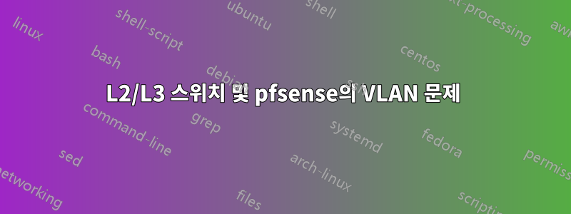 L2/L3 스위치 및 pfsense의 VLAN 문제