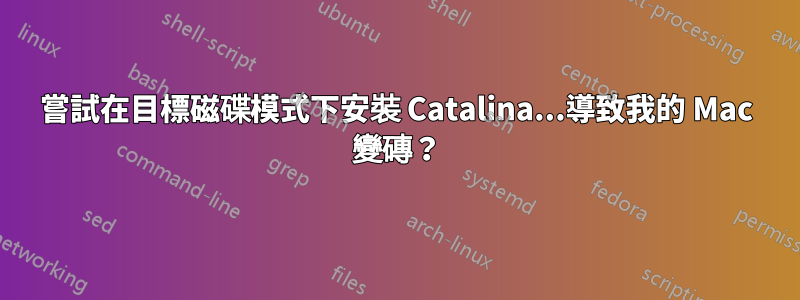 嘗試在目標磁碟模式下安裝 Catalina...導致我的 Mac 變磚？