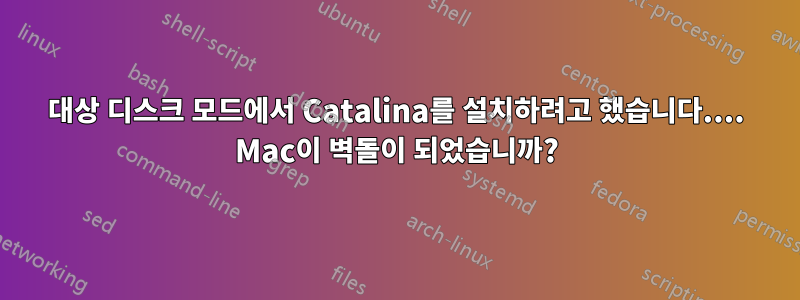 대상 디스크 모드에서 Catalina를 설치하려고 했습니다.... Mac이 벽돌이 되었습니까?