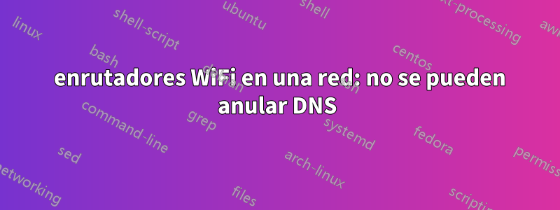 2 enrutadores WiFi en una red: no se pueden anular DNS