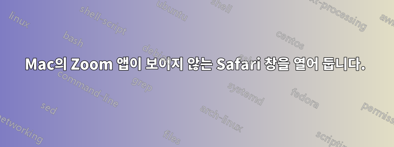 Mac의 Zoom 앱이 보이지 않는 Safari 창을 열어 둡니다.