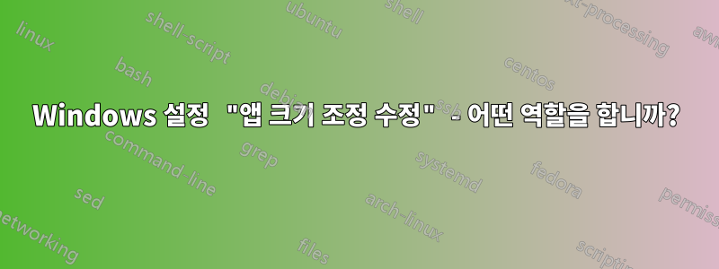 Windows 설정 "앱 크기 조정 수정" - 어떤 역할을 합니까?