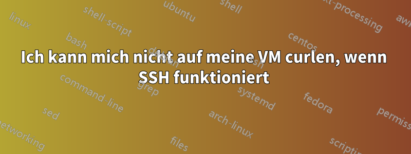 Ich kann mich nicht auf meine VM curlen, wenn SSH funktioniert