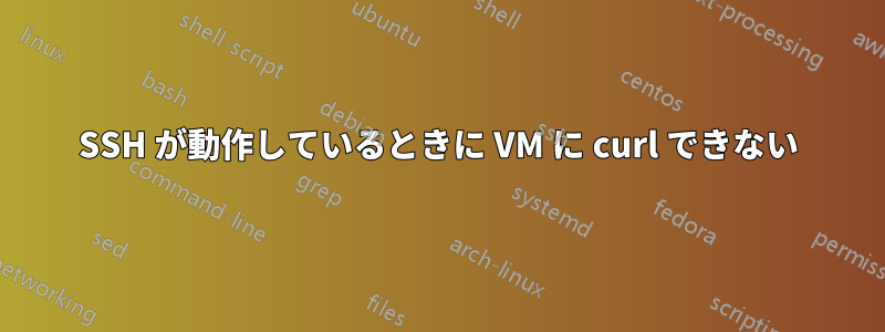 SSH が動作しているときに VM に curl できない