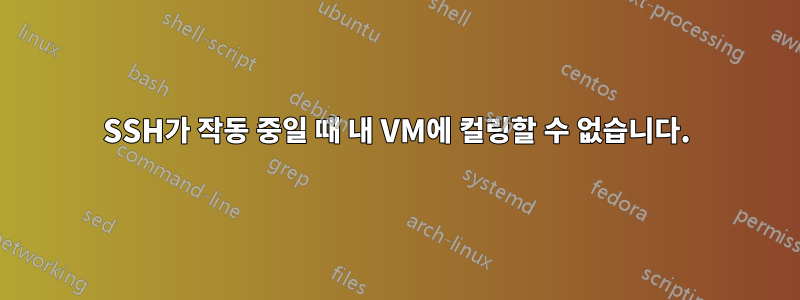 SSH가 작동 중일 때 내 VM에 컬링할 수 없습니다.