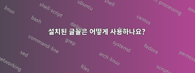설치된 글꼴은 어떻게 사용하나요?