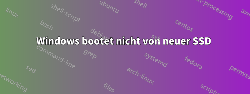 Windows bootet nicht von neuer SSD