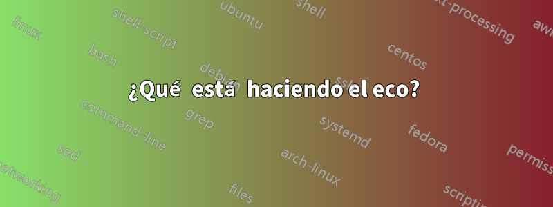 ¿Qué está haciendo el eco?