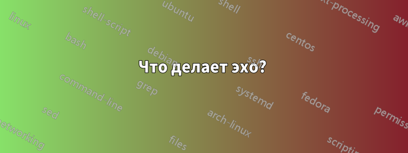 Что делает эхо?