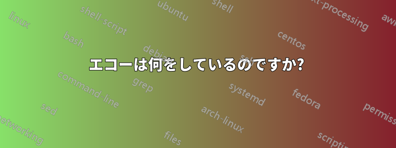エコーは何をしているのですか?