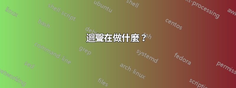 迴聲在做什麼？