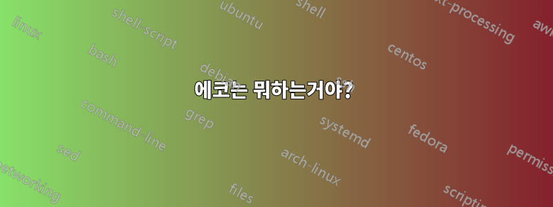 에코는 뭐하는거야?