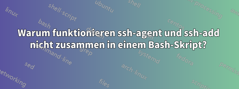 Warum funktionieren ssh-agent und ssh-add nicht zusammen in einem Bash-Skript?