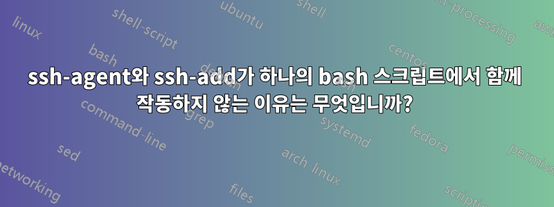 ssh-agent와 ssh-add가 하나의 bash 스크립트에서 함께 작동하지 않는 이유는 무엇입니까?