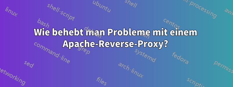 Wie behebt man Probleme mit einem Apache-Reverse-Proxy?