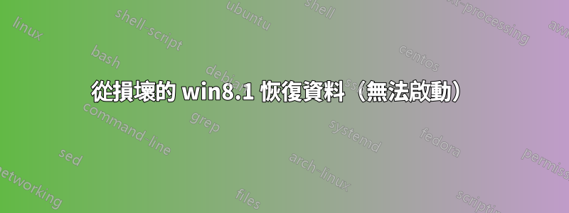 從損壞的 win8.1 恢復資料（無法啟動）