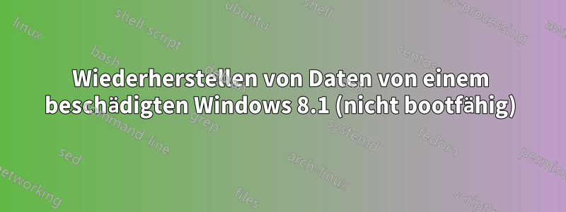 Wiederherstellen von Daten von einem beschädigten Windows 8.1 (nicht bootfähig)