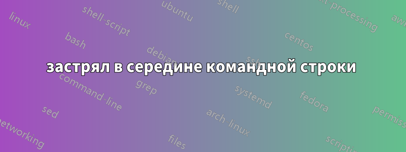 застрял в середине командной строки
