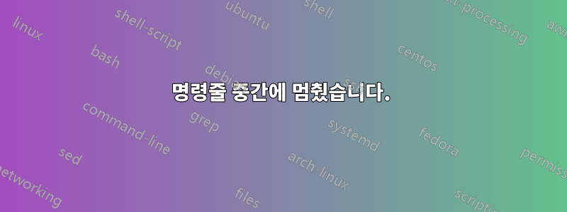 명령줄 중간에 멈췄습니다.