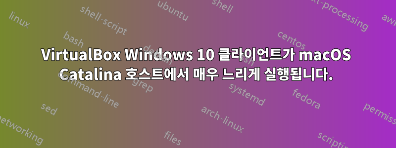 VirtualBox Windows 10 클라이언트가 macOS Catalina 호스트에서 매우 느리게 실행됩니다.