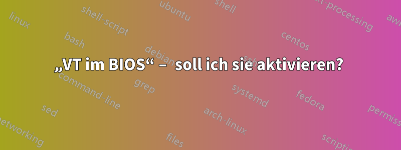 „VT im BIOS“ – soll ich sie aktivieren?