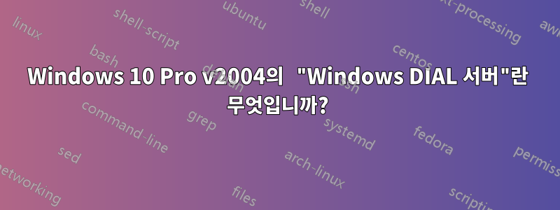 Windows 10 Pro v2004의 "Windows DIAL 서버"란 무엇입니까?