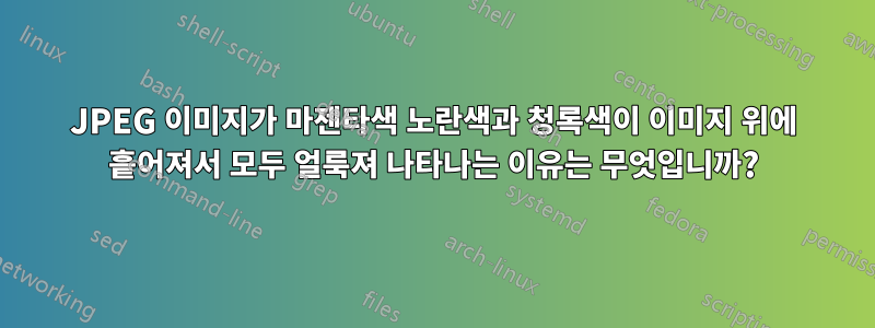 JPEG 이미지가 마젠타색 노란색과 청록색이 이미지 위에 흩어져서 모두 얼룩져 나타나는 이유는 무엇입니까?