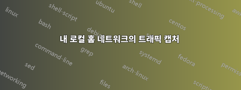 내 로컬 홈 네트워크의 트래픽 캡처