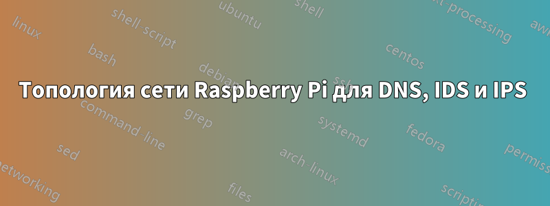 Топология сети Raspberry Pi для DNS, IDS и IPS