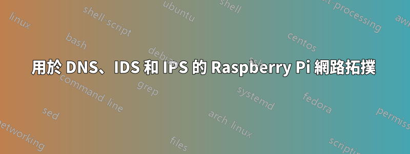 用於 DNS、IDS 和 IPS 的 Raspberry Pi 網路拓撲