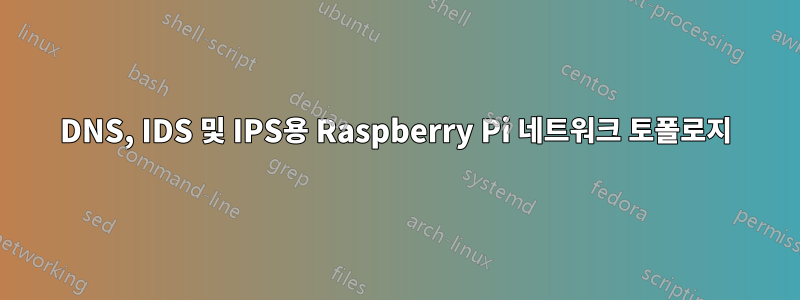 DNS, IDS 및 IPS용 Raspberry Pi 네트워크 토폴로지