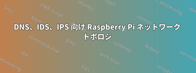 DNS、IDS、IPS 向け Raspberry Pi ネットワーク トポロジ