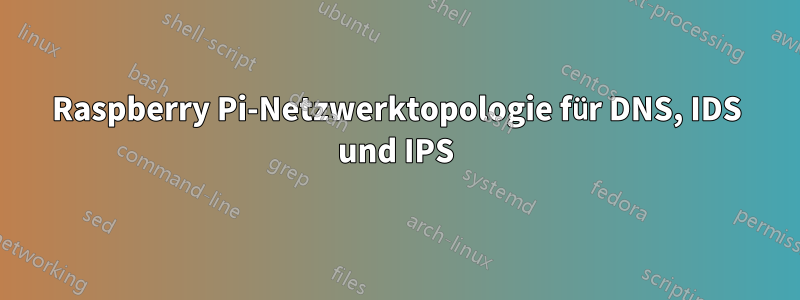 Raspberry Pi-Netzwerktopologie für DNS, IDS und IPS