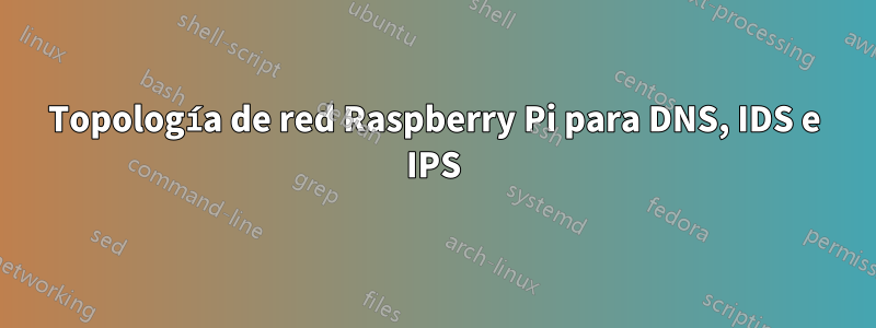 Topología de red Raspberry Pi para DNS, IDS e IPS
