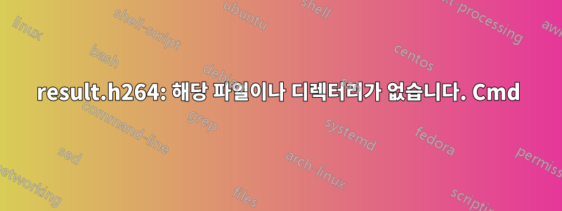 result.h264: 해당 파일이나 디렉터리가 없습니다. Cmd