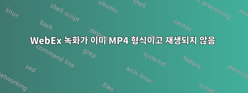 WebEx 녹화가 이미 MP4 형식이고 재생되지 않음