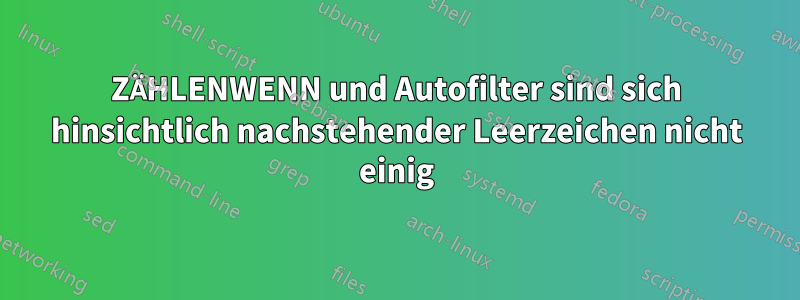 ZÄHLENWENN und Autofilter sind sich hinsichtlich nachstehender Leerzeichen nicht einig