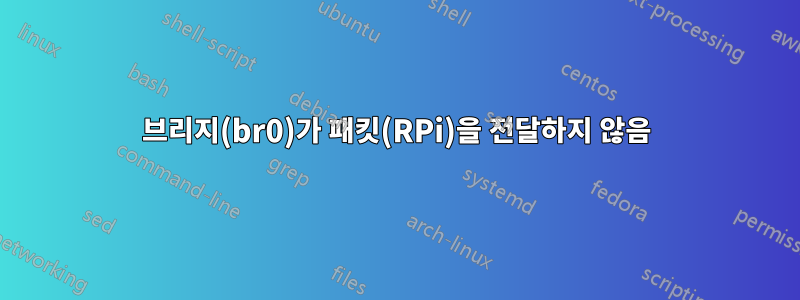 브리지(br0)가 패킷(RPi)을 전달하지 않음