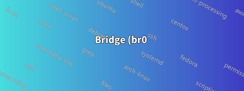 Bridge (br0) leitet keine Pakete weiter (RPi)