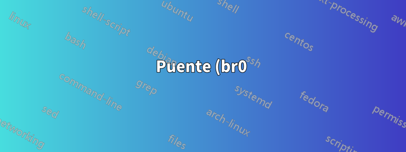 Puente (br0) que no reenvía paquetes (RPi)
