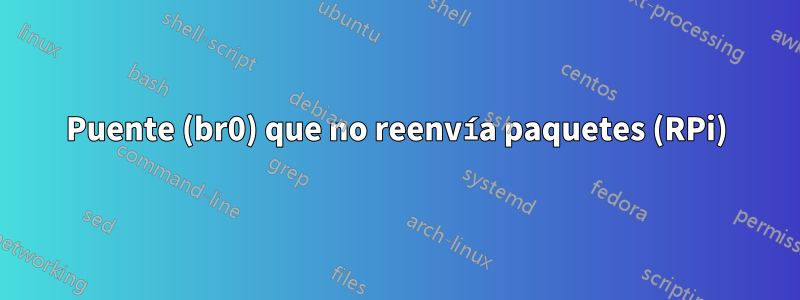 Puente (br0) que no reenvía paquetes (RPi)
