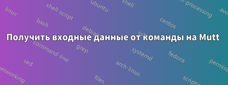 Получить входные данные от команды на Mutt