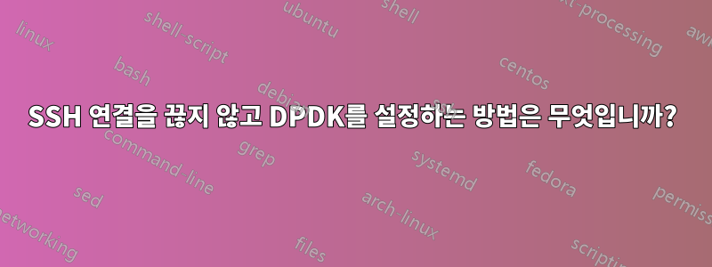 SSH 연결을 끊지 않고 DPDK를 설정하는 방법은 무엇입니까?