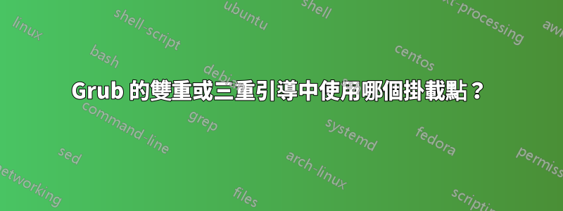 Grub 的雙重或三重引導中使用哪個掛載點?