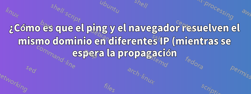 ¿Cómo es que el ping y el navegador resuelven el mismo dominio en diferentes IP (mientras se espera la propagación)?