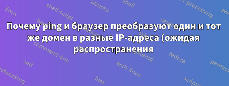Почему ping и браузер преобразуют один и тот же домен в разные IP-адреса (ожидая распространения)?