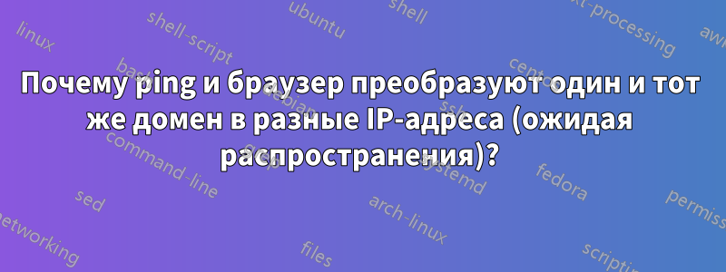 Почему ping и браузер преобразуют один и тот же домен в разные IP-адреса (ожидая распространения)?