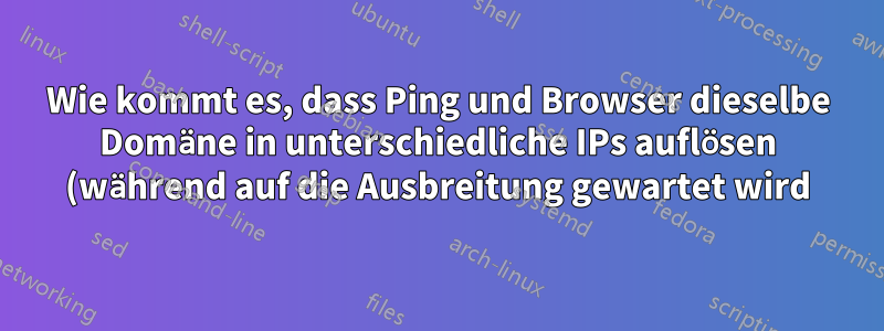 Wie kommt es, dass Ping und Browser dieselbe Domäne in unterschiedliche IPs auflösen (während auf die Ausbreitung gewartet wird)?