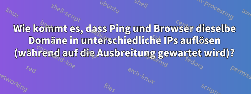Wie kommt es, dass Ping und Browser dieselbe Domäne in unterschiedliche IPs auflösen (während auf die Ausbreitung gewartet wird)?